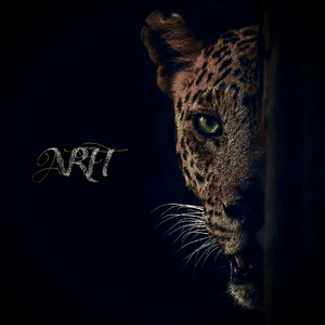 日本综合性色网站
